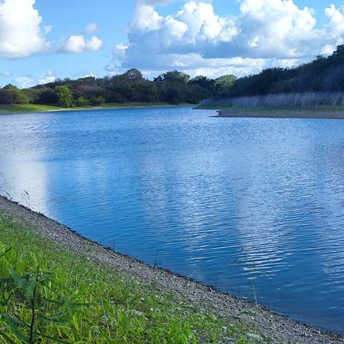 Photo #13575347