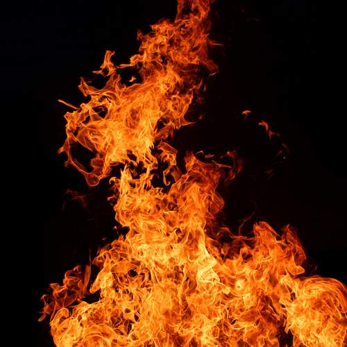 Photo #13575496