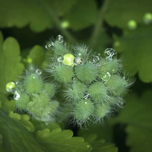 Photo #13575565