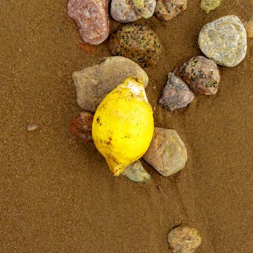Photo #13575632