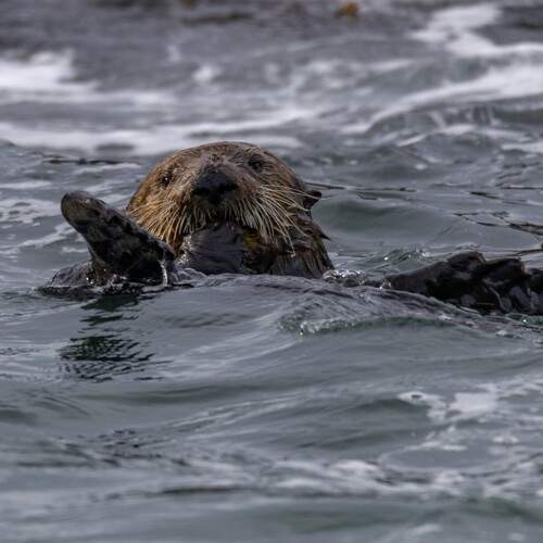Photo #13575646