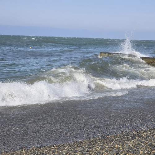 Photo #13575669