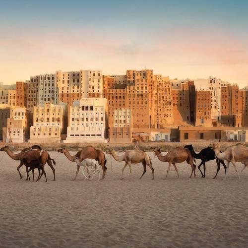 Shibam.. Echoes of the Last Caravans
