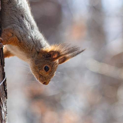 Photo #13575749
