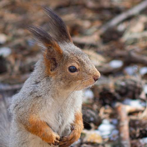 Photo #13575751