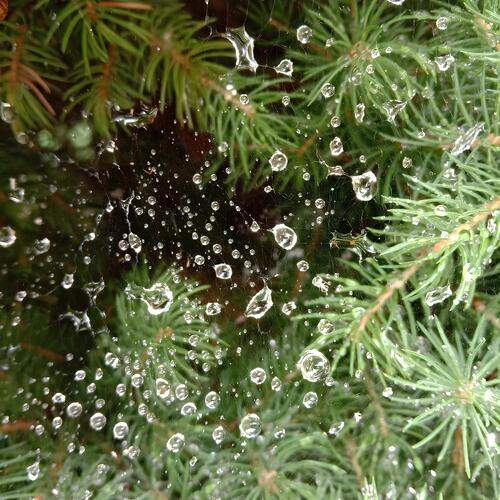 Photo #13575785