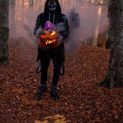 Photo #13575790