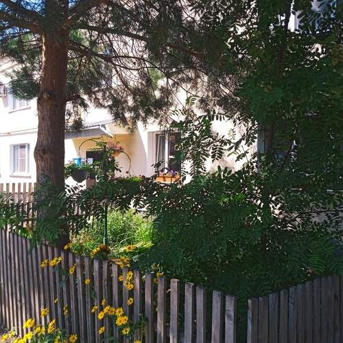 Photo #13575792