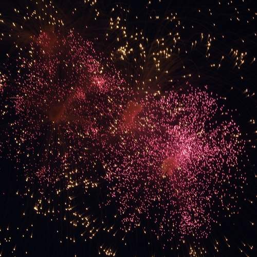Photo #13575916