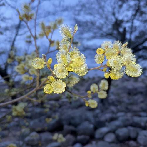 Photo #13575981