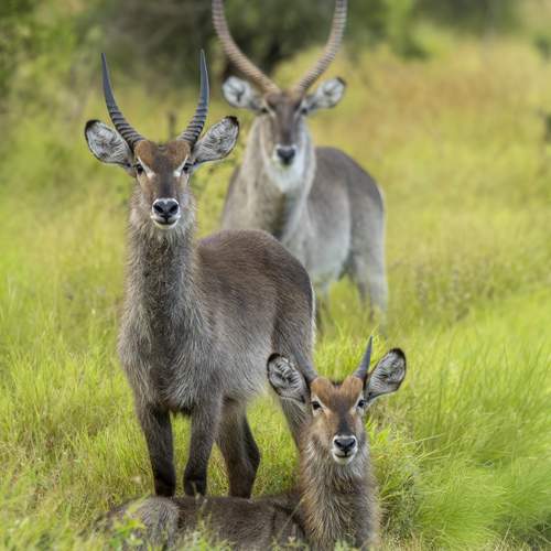 Photo #13576329