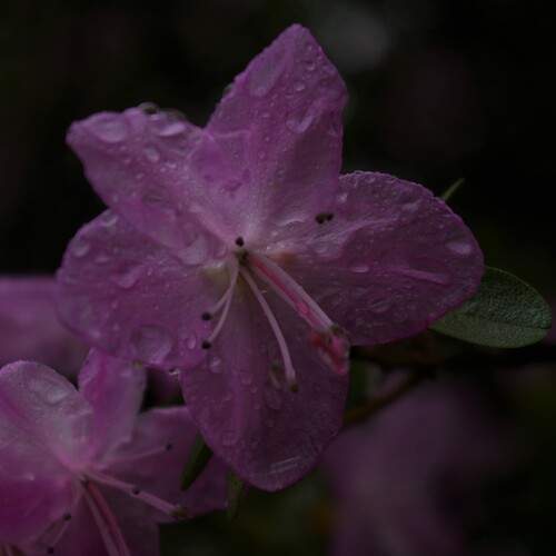 Photo #13576335