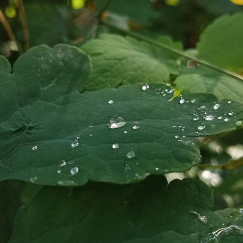 Photo #13576336