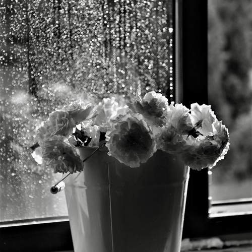 Photo #13576351