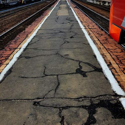 Photo #13576423