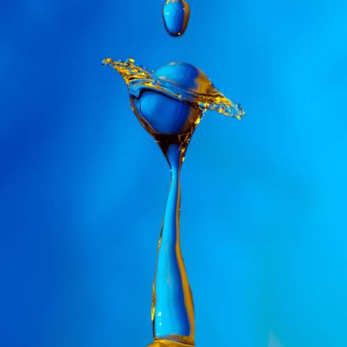 Фотография #13576472
