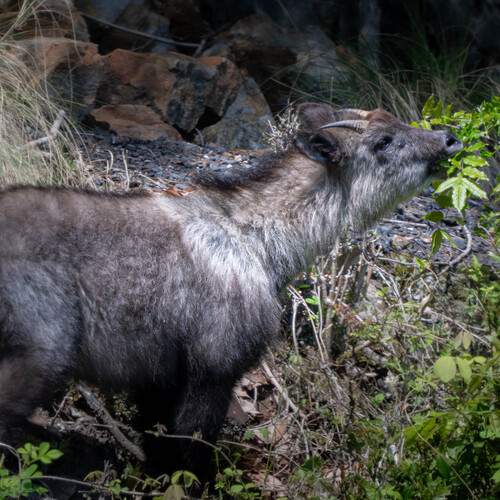 Photo #13576582
