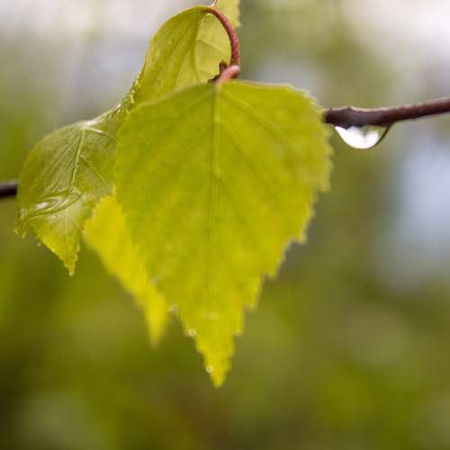 Photo #13576639