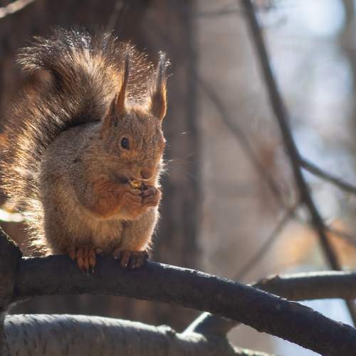 Photo #13576651