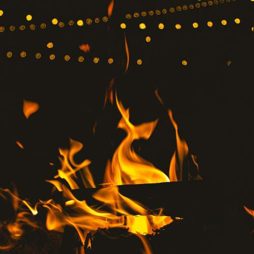 Photo #13576668