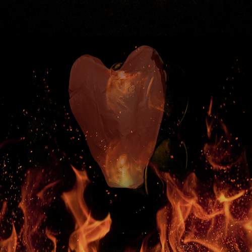 Photo #13576759
