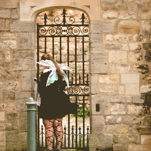 Photo #13576833