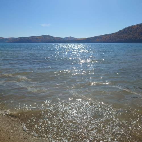 Photo #13576922
