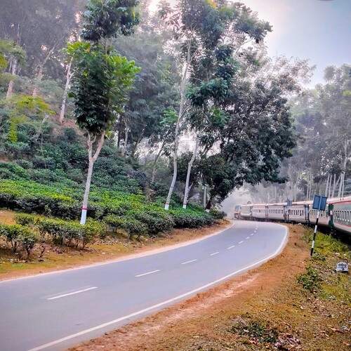 Photo #13576942