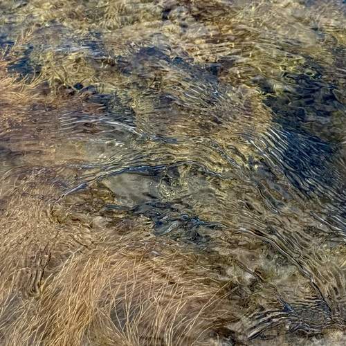 Photo #13577003