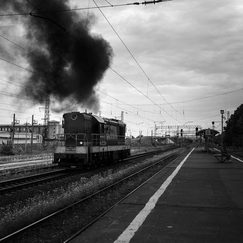 Photo #13577022