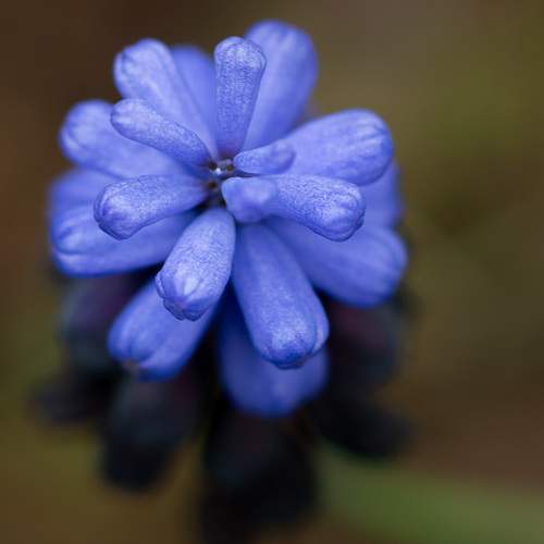 Photo #13577162