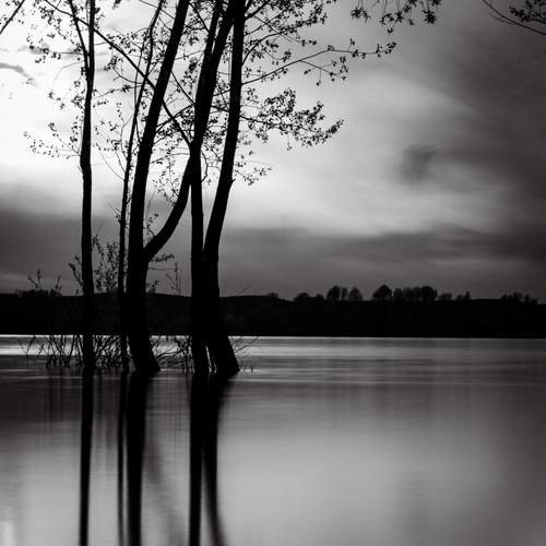 Photo #13577317