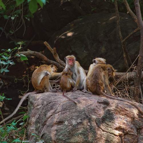 Photo #13577421