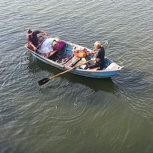 Photo #13577433