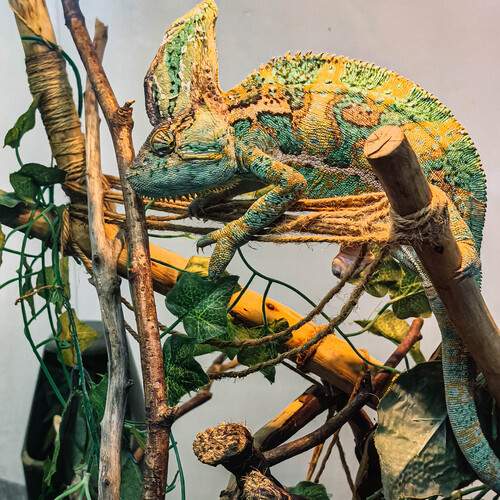 Photo #13577577