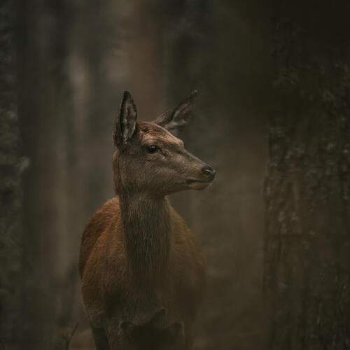 Photo #13577730