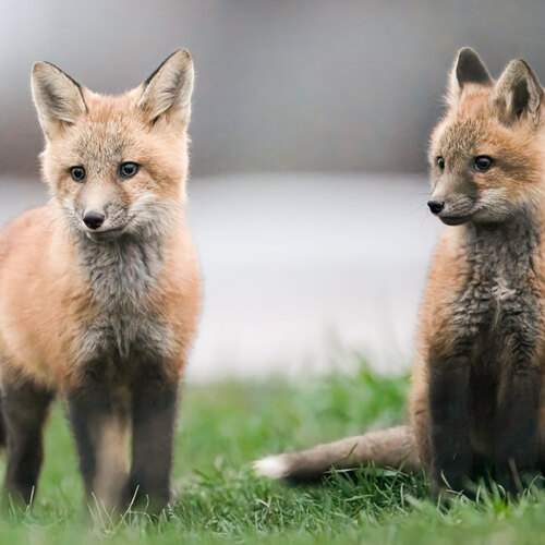 Photo #13577792