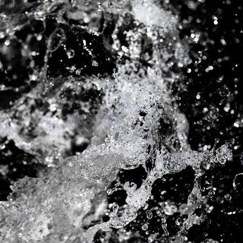 Photo #13577862