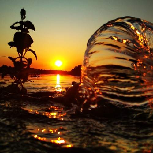 Photo #13578079