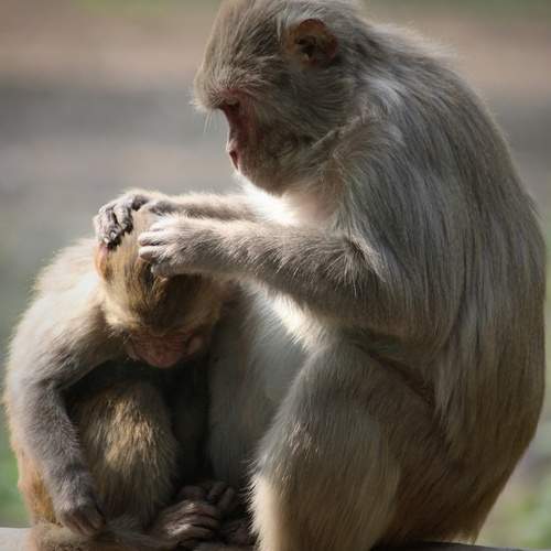 Photo #13578222
