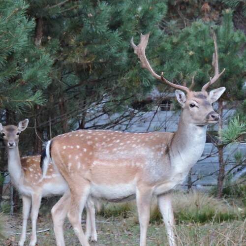 Photo #13578522
