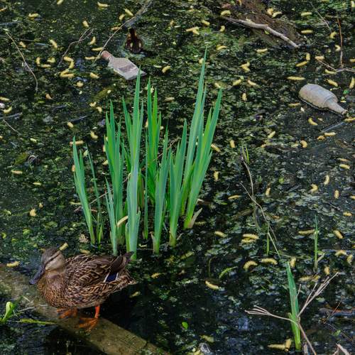 Photo #13578892