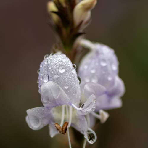 Photo #13579018