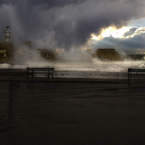 Photo #13579161