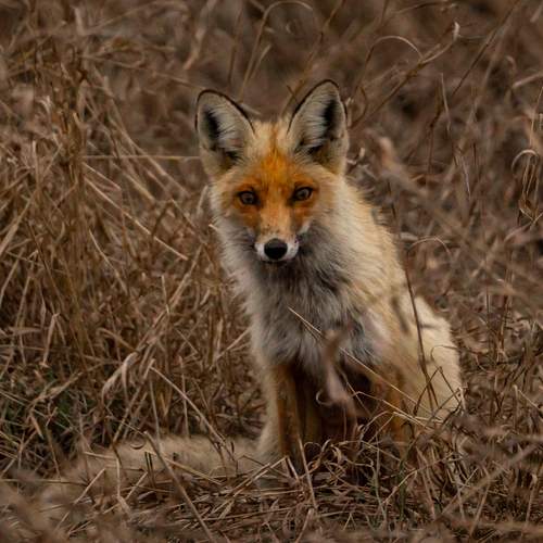 Photo #13579296