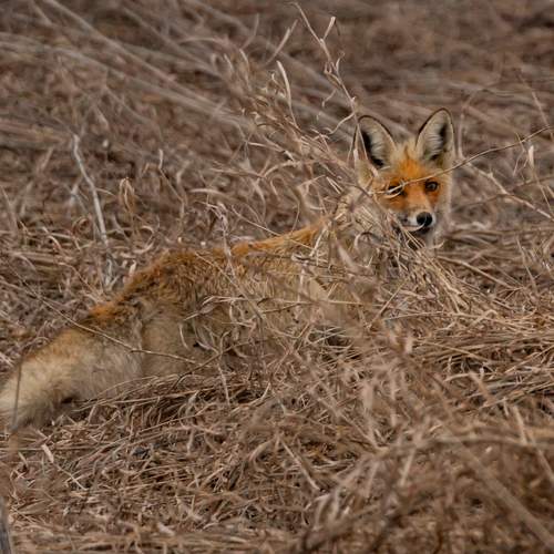 Photo #13579300