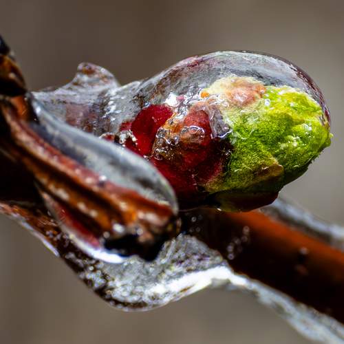 Photo #13579307