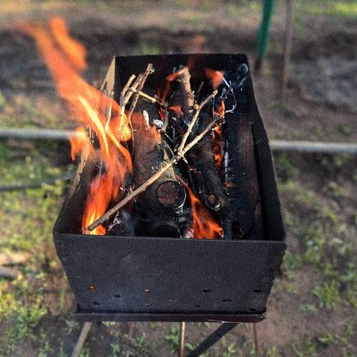 Photo #13579340