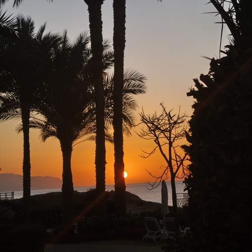 Photo #13579425