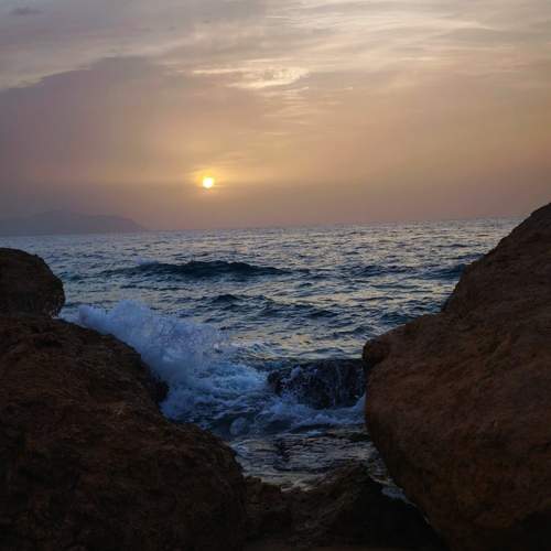 Photo #13579426